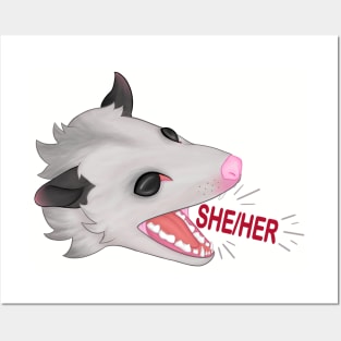 Pronoun opossum she/her Posters and Art